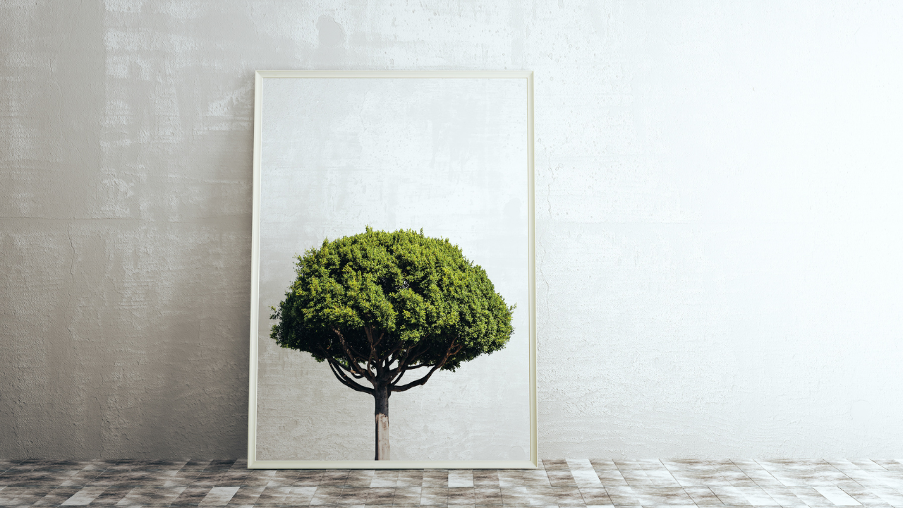 Obrazy drzewa – zainspiruj się naturą 